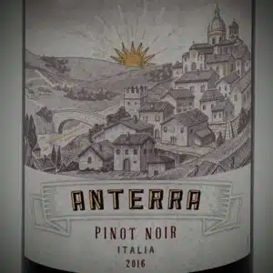 Anterra Pinot Noir